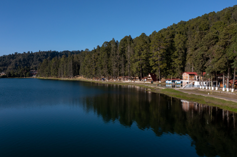 Laguna y bosque de pinos en Los Azufres