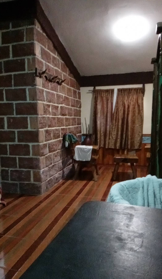 Interior con muro de ladrillo y cortinas